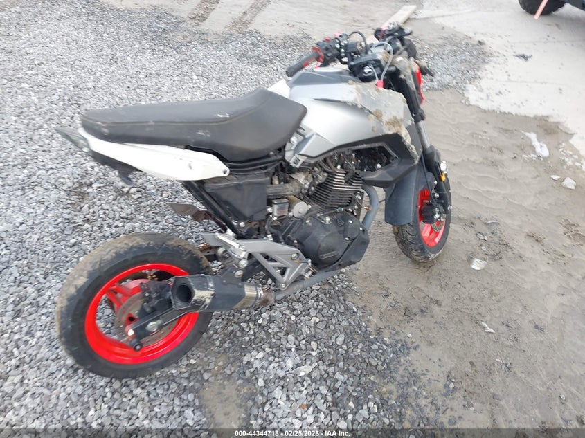 2022 Cfmoto Papio VIN: LCEPBJL41N6005306 Lot: 44344718