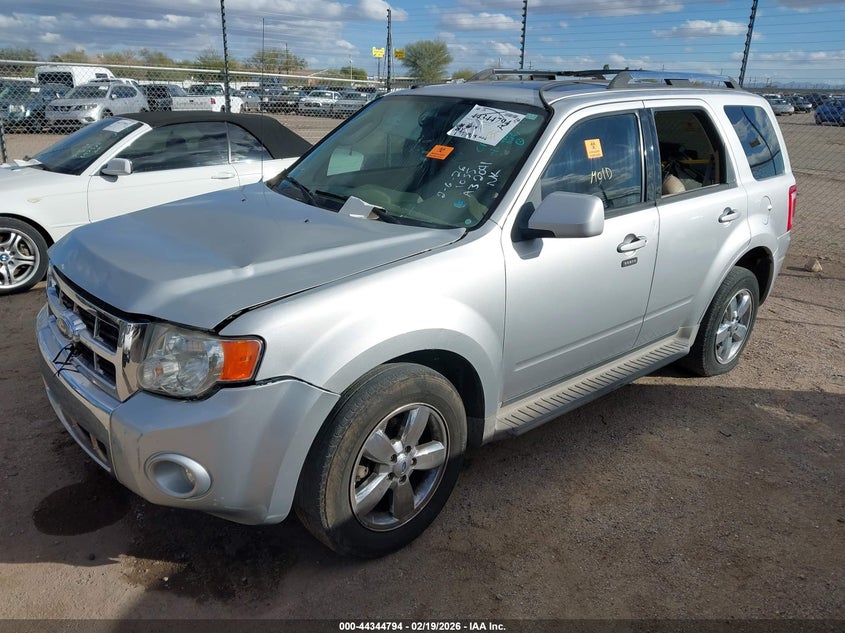 2010 Ford Escape Limited