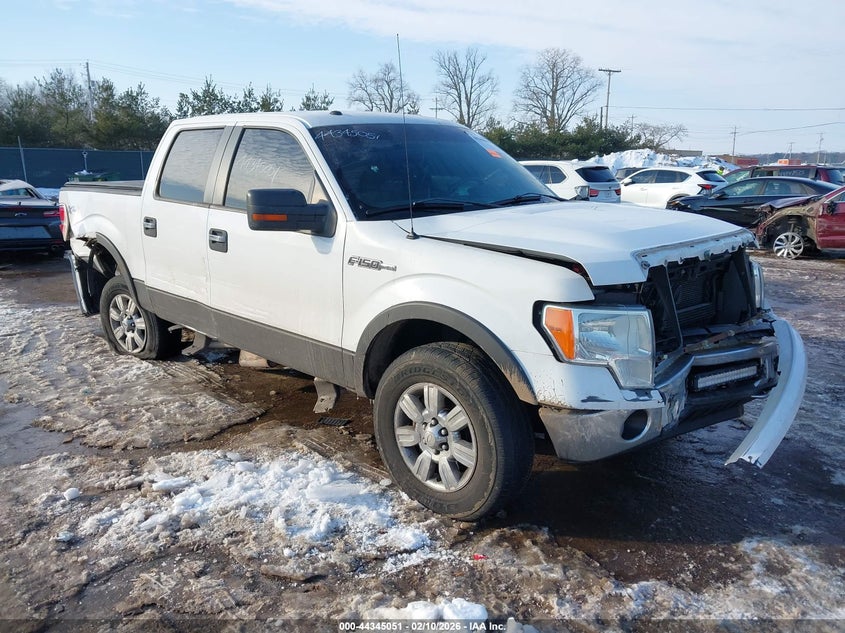 2010 Ford F-150 Fx4/Harley-Davidson/King Ranch/Lariat/Platinum/Xl/Xlt