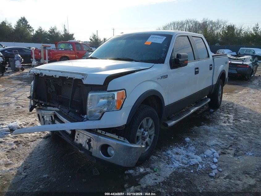 2010 Ford F-150 Fx4/Harley-Davidson/King Ranch/Lariat/Platinum/Xl/Xlt