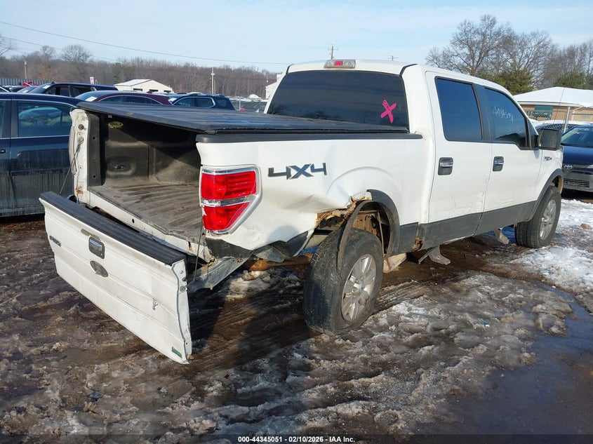 2010 Ford F-150 Fx4/Harley-Davidson/King Ranch/Lariat/Platinum/Xl/Xlt
