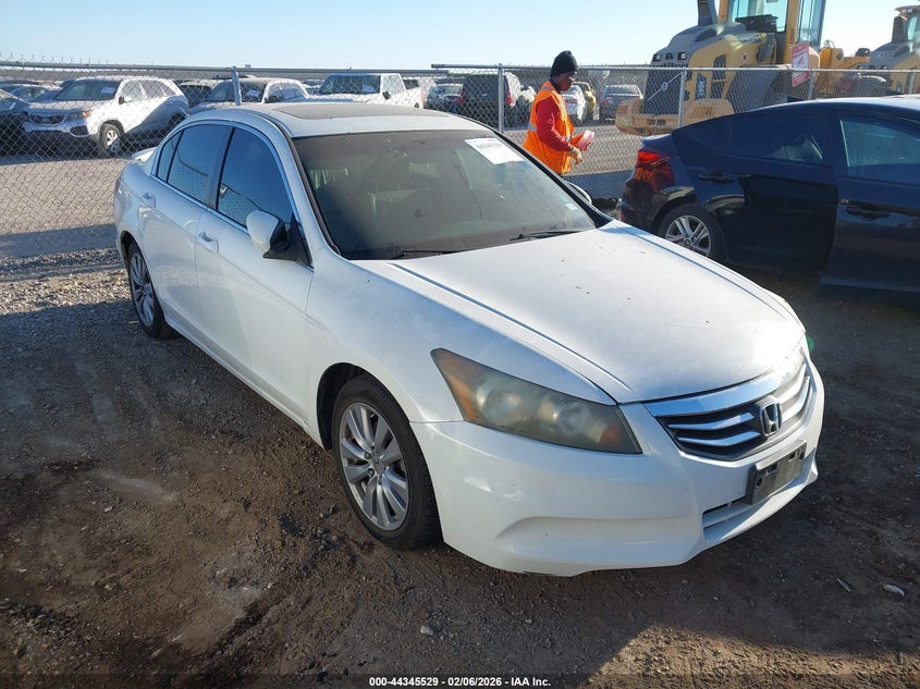 2011 Honda Accord 2.4 Ex-L