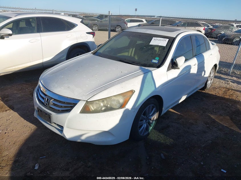 2011 Honda Accord 2.4 Ex-L