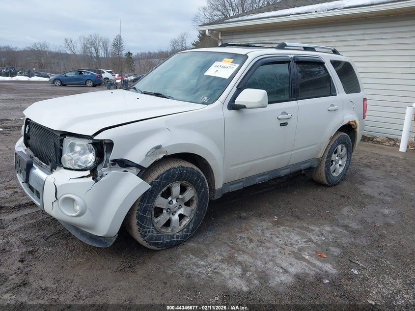 2010 Ford Escape Limited