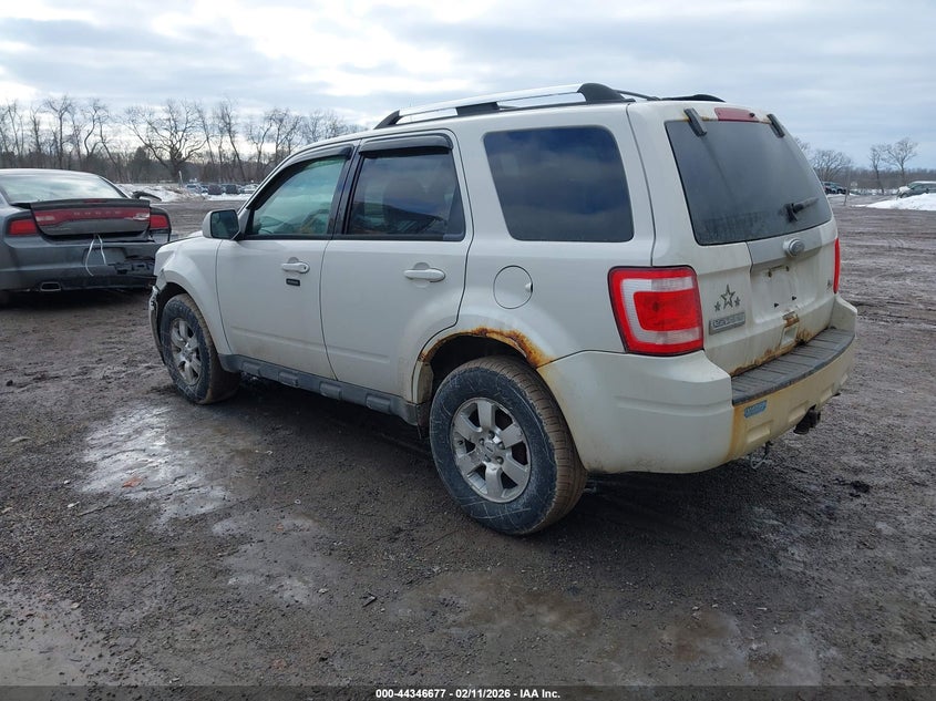 2010 Ford Escape Limited