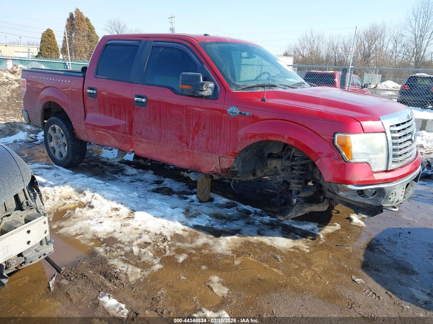 2010 Ford F-150 Fx4/Harley-Davidson/King Ranch/Lariat/Platinum/Xl/Xlt