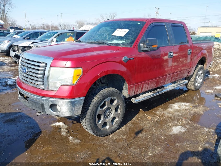 2010 Ford F-150 Fx4/Harley-Davidson/King Ranch/Lariat/Platinum/Xl/Xlt