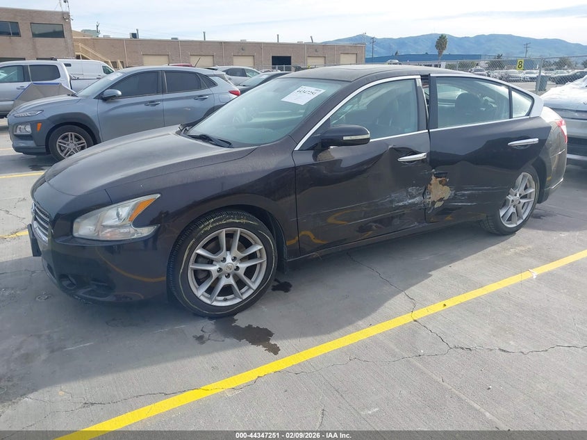2010 Nissan Maxima 3.5 Sv