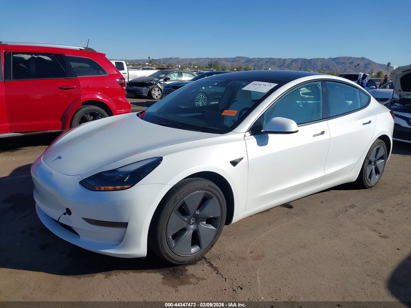 2023 Tesla Model 3 Rear-Wheel Drive