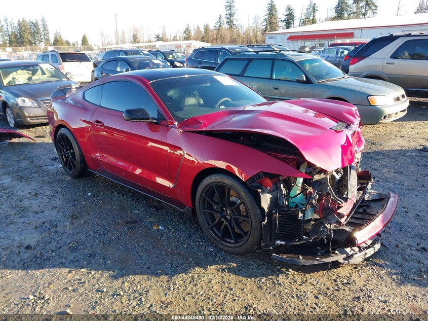 2019 Ford Mustang Shelby Gt350 Fastback