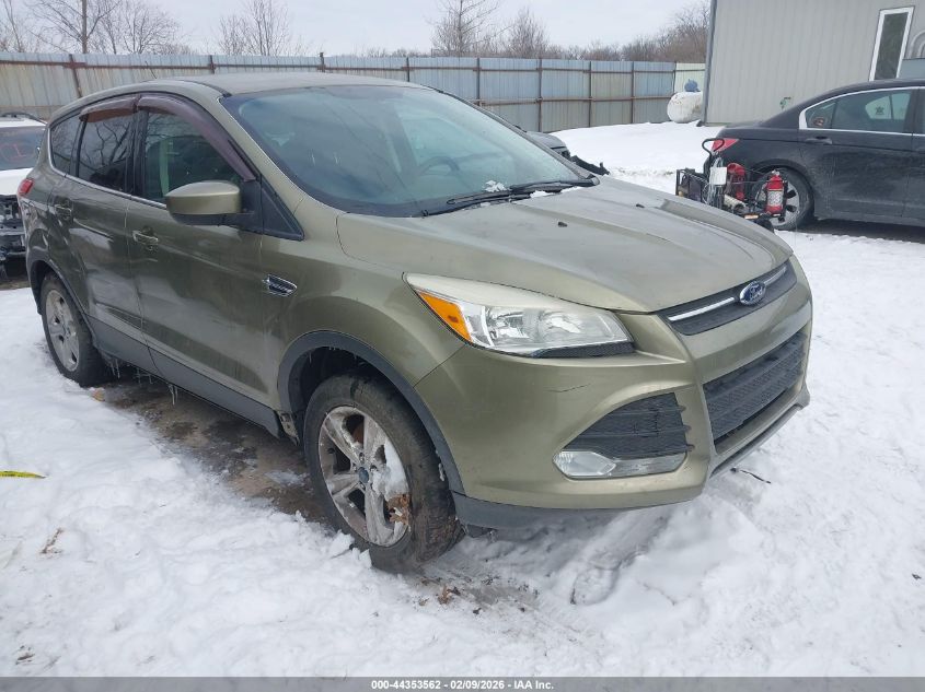 2013 Ford Escape Se