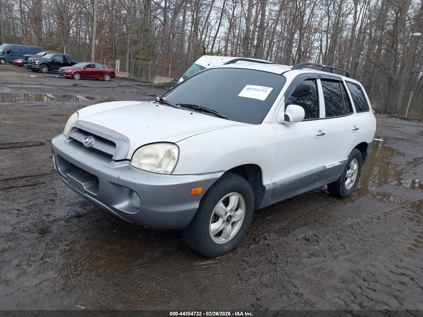 2005 Hyundai Santa Fe Gls/Lx