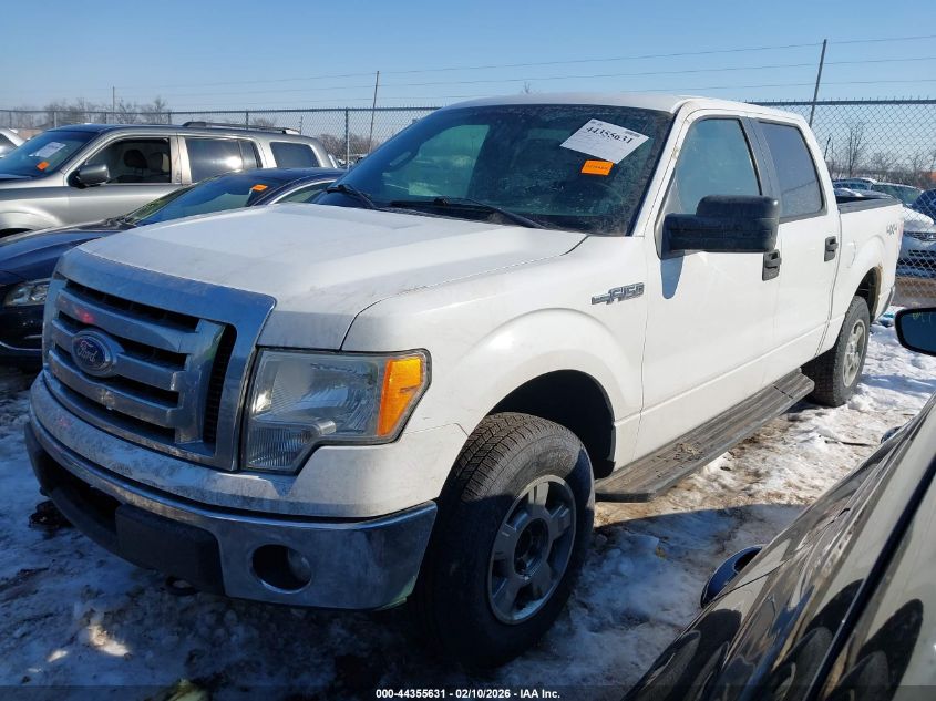 2011 Ford F-150 Xlt