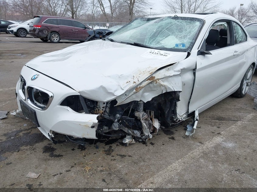 2015 BMW 228I VIN: WBA1G9C53FVX96621 Lot: 44357046