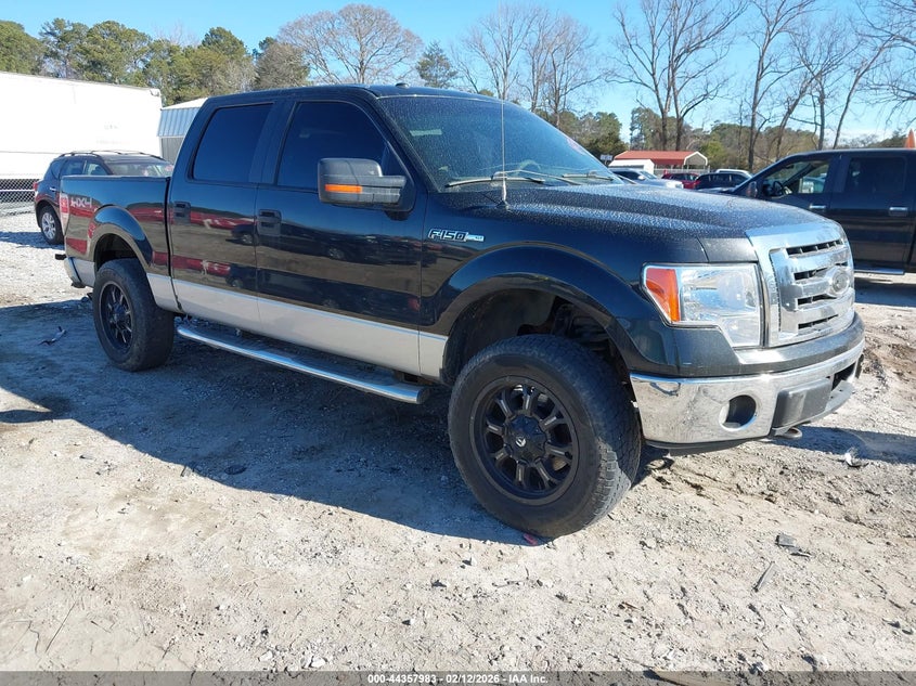 2010 Ford F-150 Fx4/Harley-Davidson/King Ranch/Lariat/Platinum/Xl/Xlt