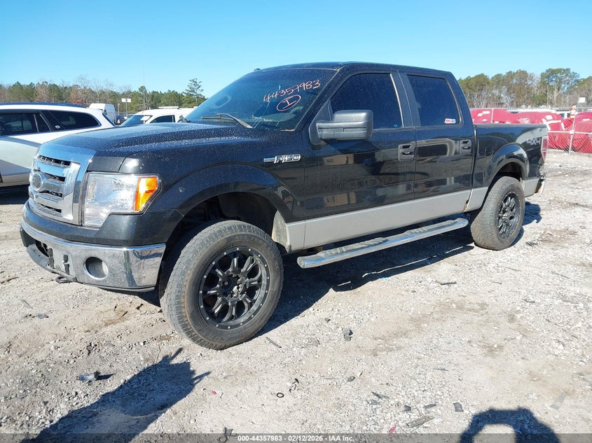 2010 Ford F-150 Fx4/Harley-Davidson/King Ranch/Lariat/Platinum/Xl/Xlt