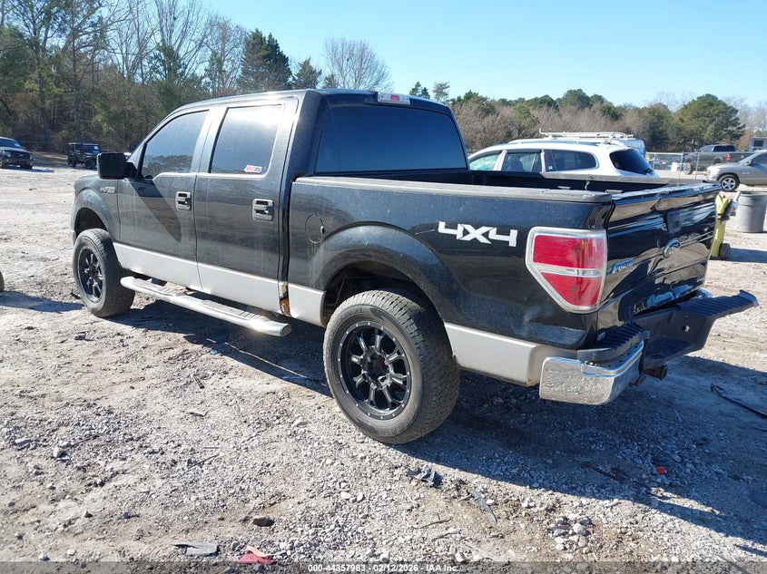 2010 Ford F-150 Fx4/Harley-Davidson/King Ranch/Lariat/Platinum/Xl/Xlt