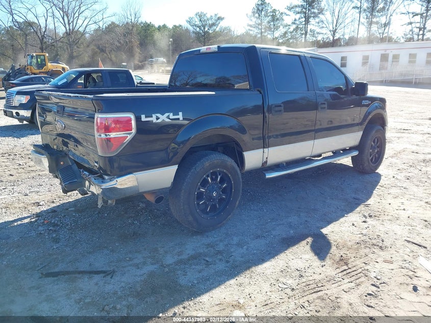 2010 Ford F-150 Fx4/Harley-Davidson/King Ranch/Lariat/Platinum/Xl/Xlt