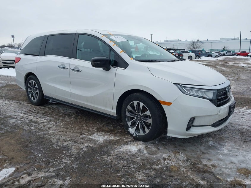 5FNRL6H67PB079611 2023 Honda Odyssey Ex-L auction photo 1