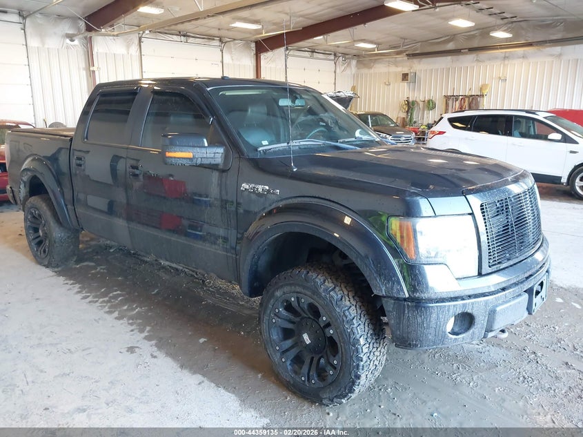 2010 Ford F-150 Fx4/Harley-Davidson/King Ranch/Lariat/Platinum/Xl/Xlt