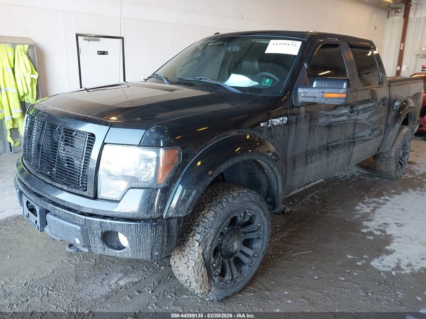 2010 Ford F-150 Fx4/Harley-Davidson/King Ranch/Lariat/Platinum/Xl/Xlt