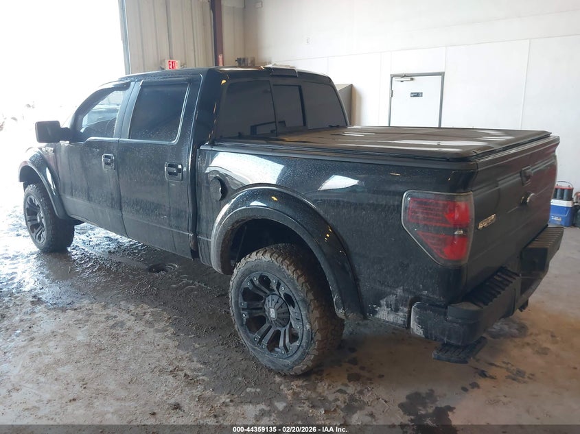 2010 Ford F-150 Fx4/Harley-Davidson/King Ranch/Lariat/Platinum/Xl/Xlt