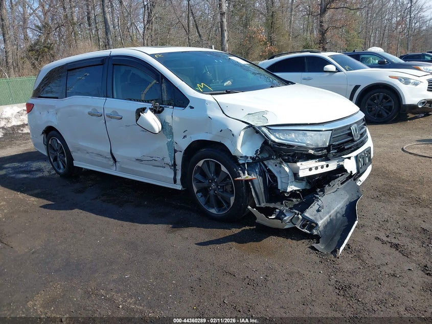 2023 Honda Odyssey Elite