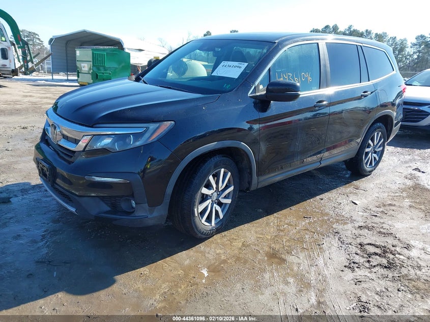 2019 Honda Pilot Ex-L