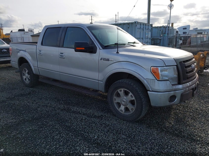 2010 Ford F-150 Fx4/Harley-Davidson/King Ranch/Lariat/Platinum/Xl/Xlt
