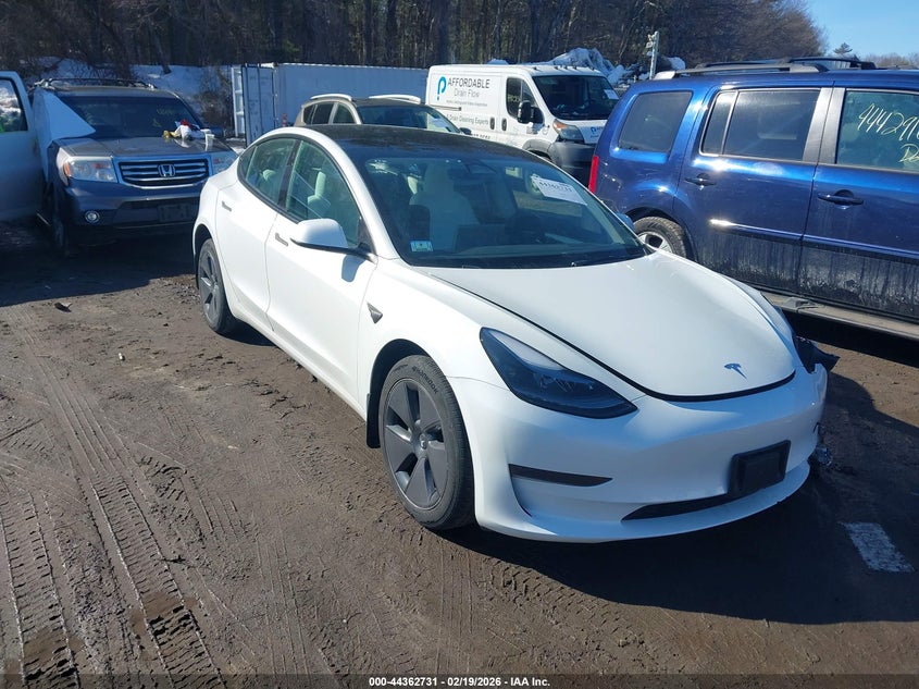 2023 Tesla Model 3 Rear-Wheel Drive