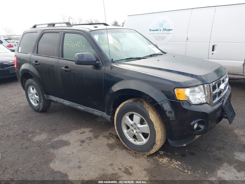 2010 Ford Escape Xlt