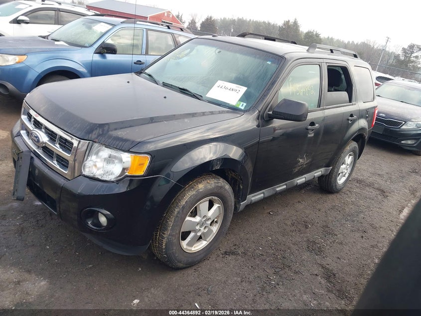 2010 Ford Escape Xlt