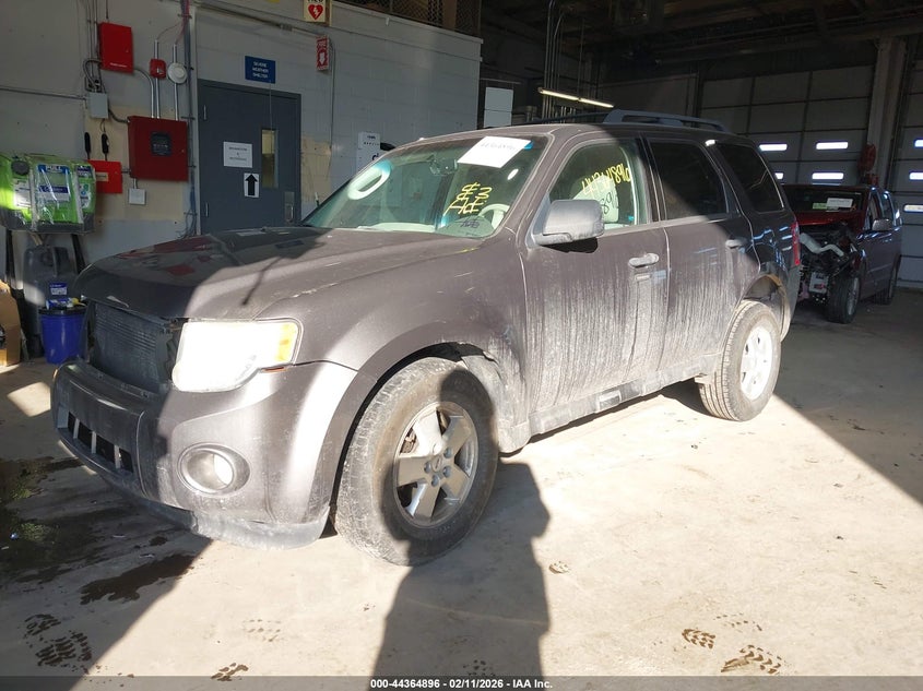 2011 Ford Escape Xlt