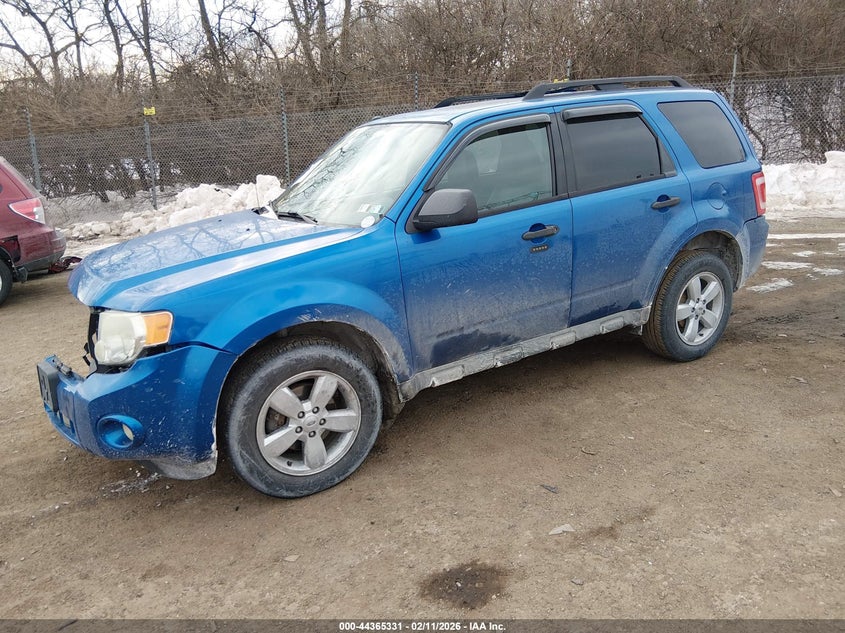2011 Ford Escape Xlt