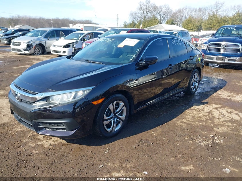 AtlanticExpress - Honda Civic