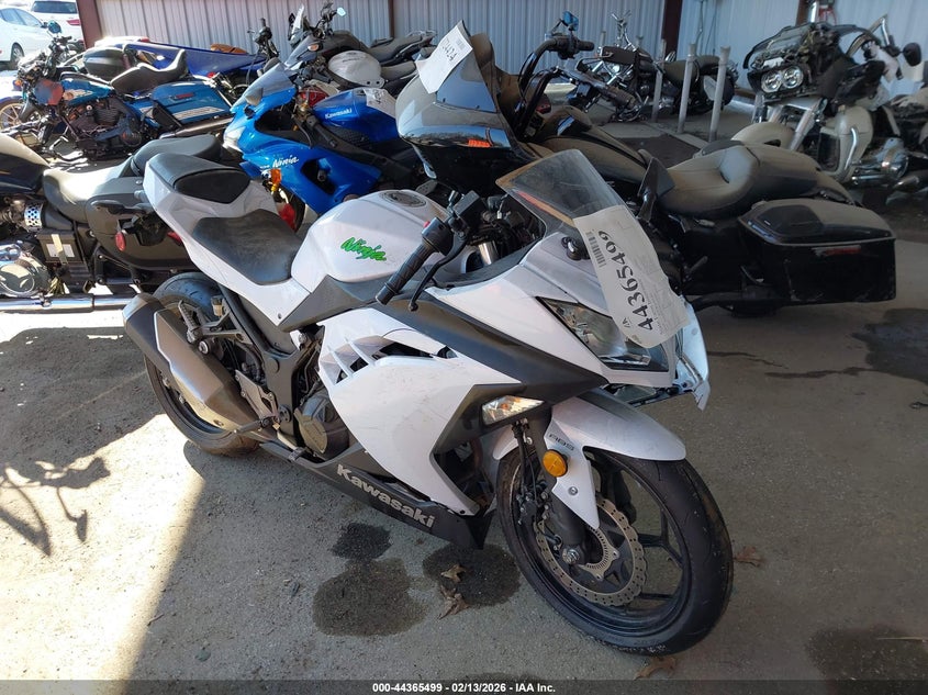 2015 Kawasaki Ex300 B