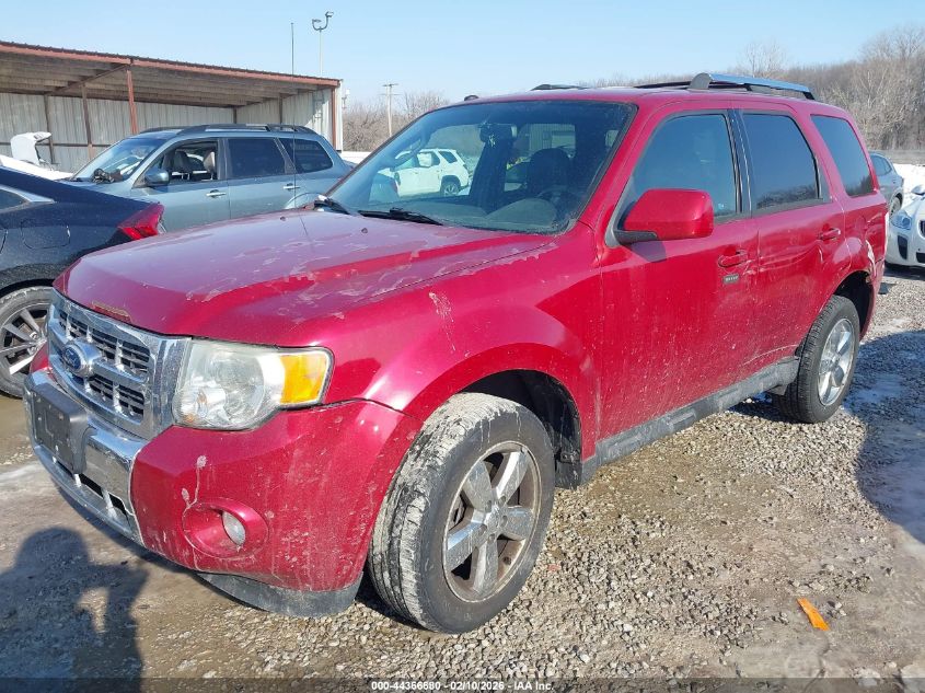 2011 Ford Escape Limited