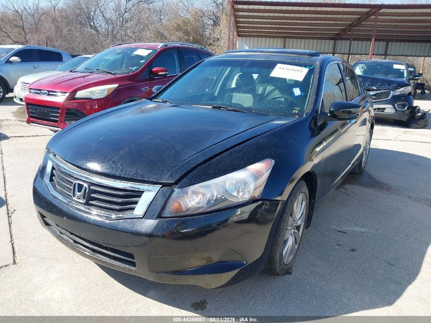 2011 Honda Accord 3.5 Ex-L VIN: 1HGCP3F81BA023566 Lot: 44368001