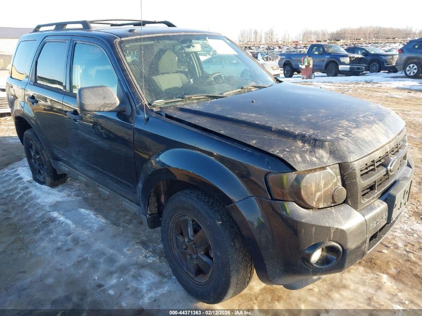 2011 Ford Escape Xlt