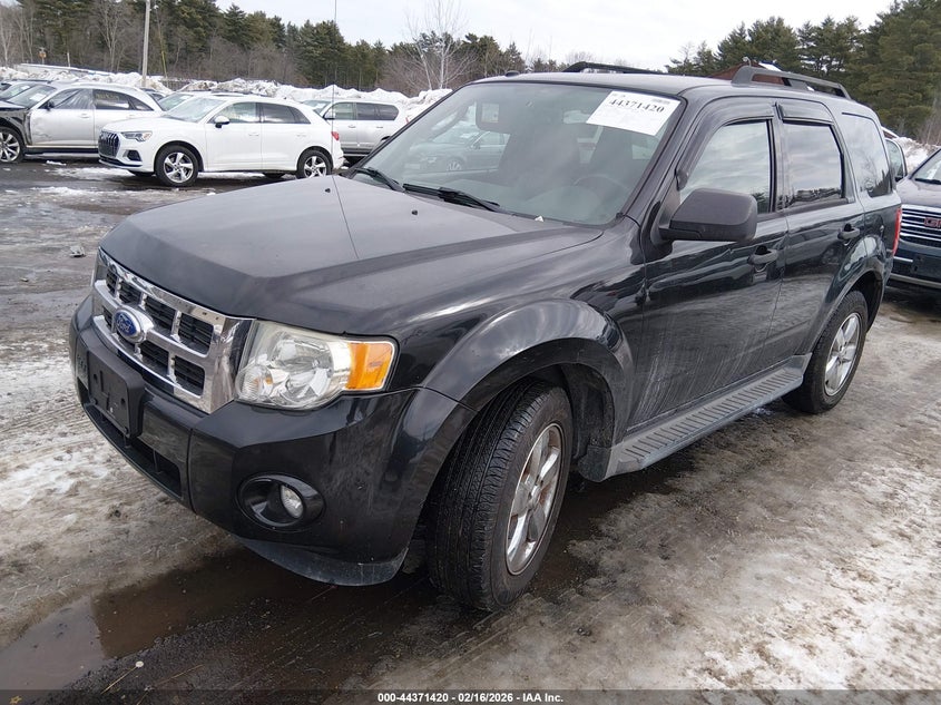 2011 Ford Escape Xlt
