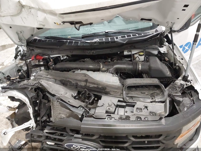 VIN 1FTEX1K82RKF06764 2024 FORD F-150 XL