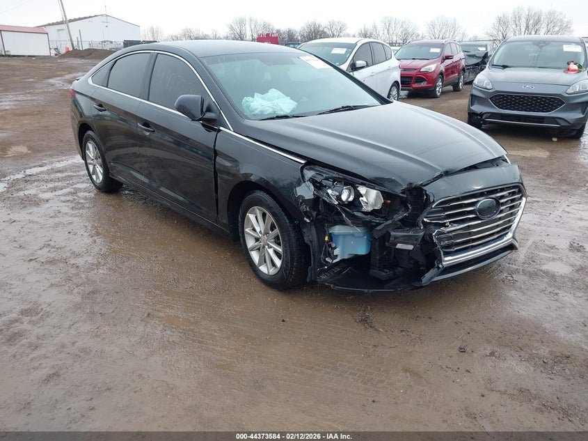 2019 Hyundai Sonata Se VIN: 5NPE24AF2KH755196 Lot: 44373584