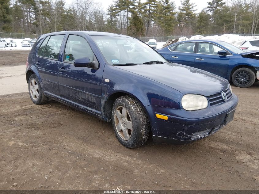 2002 Volkswagen Golf Gls 2.0L