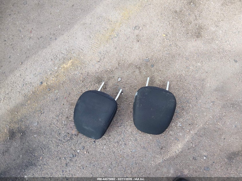 2023 Nissan Leaf Sv Plus 60 Kwh VIN: 1N4CZ1CV1PC556977 Lot: 44375062