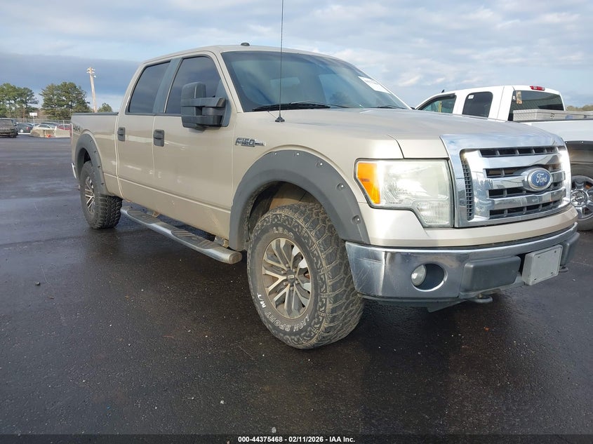 2010 Ford F-150