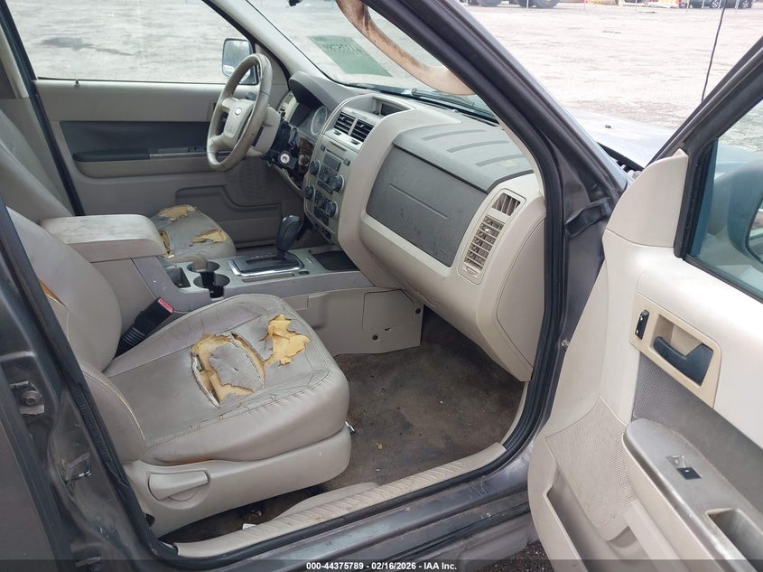 2009 Ford Escape Xlt