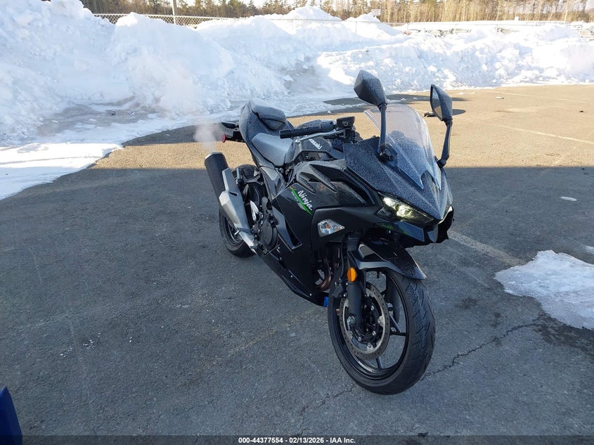 2024 Kawasaki Ex500 H