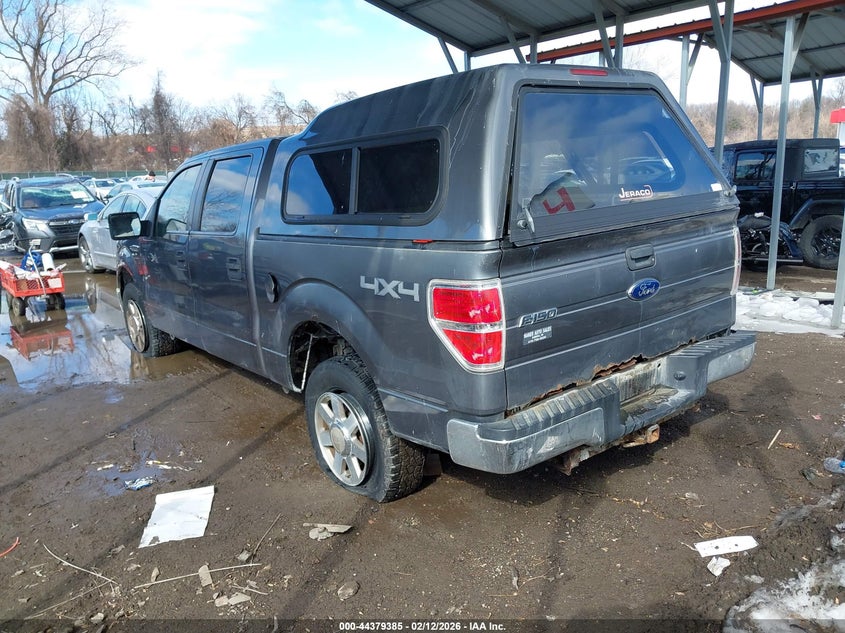 2010 Ford F-150 Xlt
