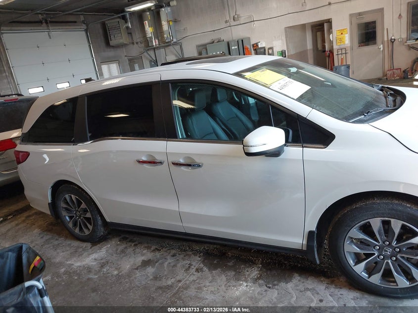 2024 Honda Odyssey Ex-L VIN: 5FNRL6H65RB054449 Lot: 44383733