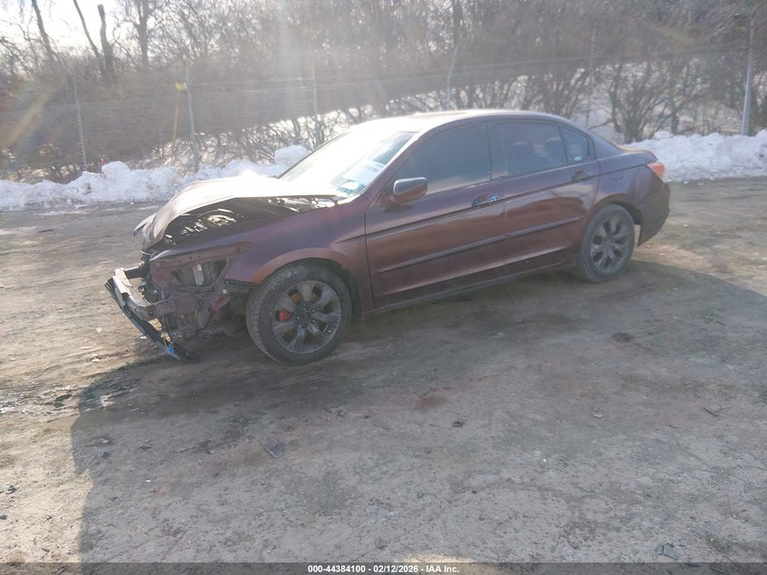 2008 Honda Accord 2.4 Ex-L